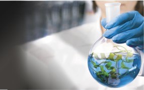 Biodegradable Greener Surfactants  생분해성 친환경 계면활성제