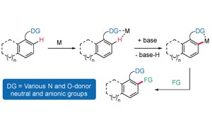 C–H Activation Catalysts Catalysts schematic workflow