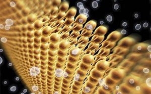 Biochemicals Stylized DNA