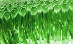 Image shows a close-up of numerous green spoon heads arranged in tight, orderly rows, creating a patterned effect.  Image shows a close-up of numerous green spoon heads arranged in tight, orderly rows, creating a patterned effect.