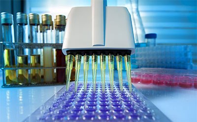 Metabolism Assay Kit in Lab A laboratory setting. The main focus is on a multi-channel pipette dispensing a purple liquid into a tray of wells. In the background, there are test tubes with yellow and green liquids held in a rack. Additional lab materials are blurred in the foreground and background, emphasizing the focus on the pipette and well tray.