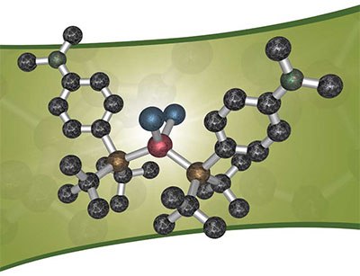 A 3D structure of (AtaPhos)2PdCl2 used for Suzuki-Miyaura cross-coupling reactions. Palladium is in red, phosphines in yellow, chlorides in blue, nitrogen in green; no hydrogen atoms shown.