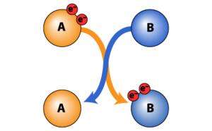 Reducing agent 킬레이트제 및 환원제