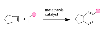 Ring-opening metathesis (ROM(P)) Ring-opening metathesis is driven by the is driven by the force to relieve ring strain. In absence of excess of a second reaction partner, polymerization occurs (ROMP).