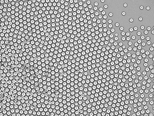 Techniques de microfluidique pour la fabrication de nanoparticules et de microparticules pour l'administration de m&eacute;dicamentsMots-cl&eacute;s : syst&egrave;me de microfluidique, administration de m&eacute;dicaments par nanoparticules, nanoformulation