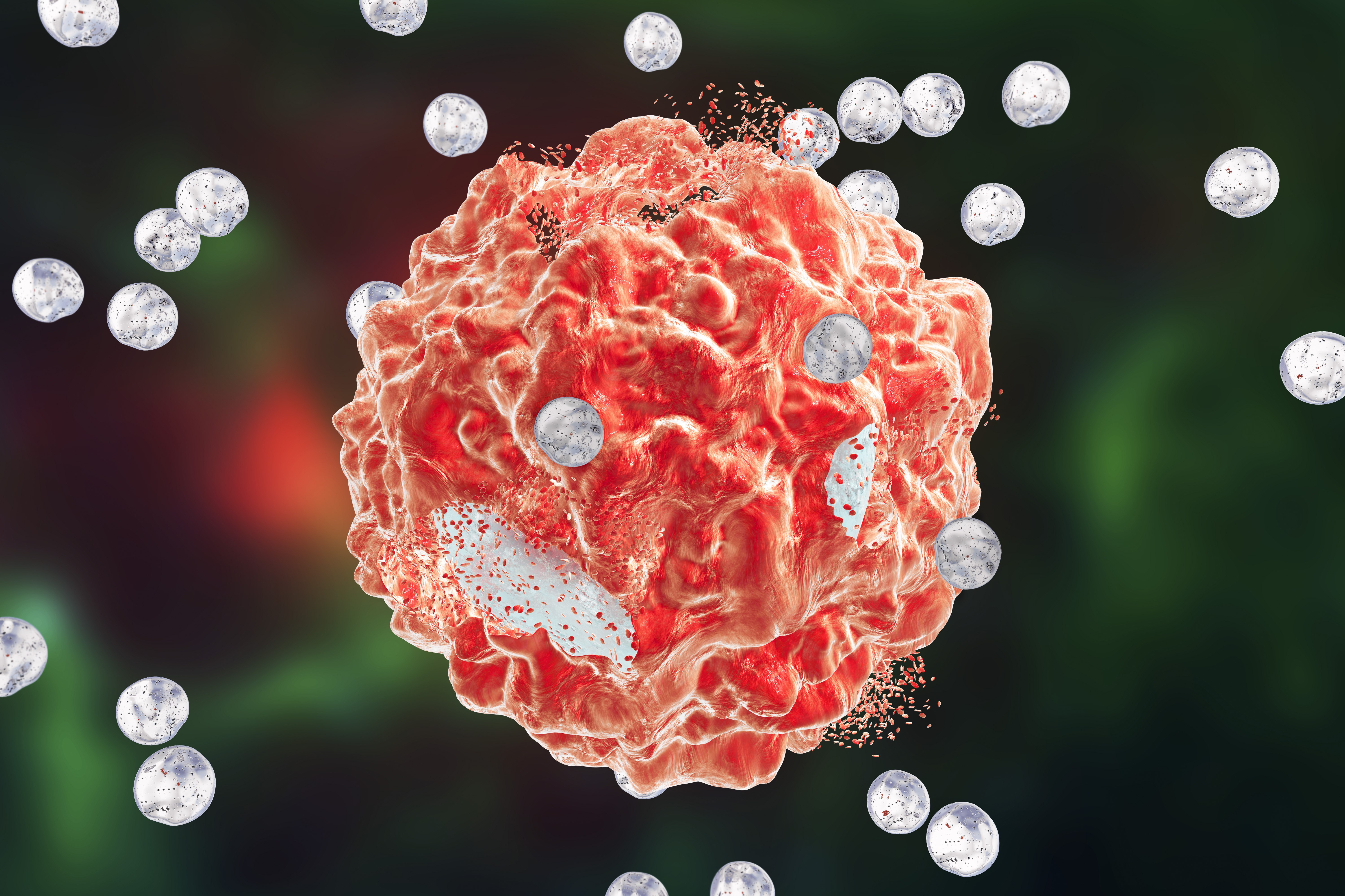 Destruction of a tumor cell by drug loaded nanoparticles A highly detailed, 3D rendering of a red, textured cell surrounded by small, translucent spheres, set against a blurred green and red background.