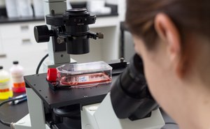 Bioprocessing Cell Line A scientists looks at a sample on a microscope.