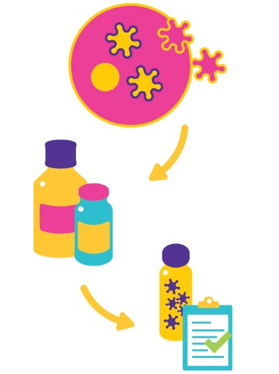 VirusExpress® Lentivirus Production Platform A graphical illustration depicting the process of treating a virus, starting with a pink petri dish containing yellow bacteria at the top, leading to two bottles of medicine in yellow and blue, and concluding with a clipboard featuring a green check mark, symbolizing the successful completion of treatment.