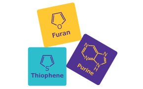 Building Blocks Furan, Thiopene and Purine schematics building blocks
