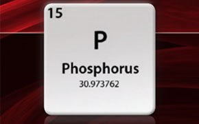 Elemental information for the phosphine atom