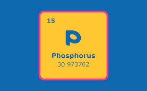Phosphine Ligands A graphic representation of the chemical element Phosphorus from the periodic table, showing its atomic number ‘15’, and its atomic weight ‘30.973762’.