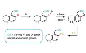 Catalysts Catalysts schematic workflow