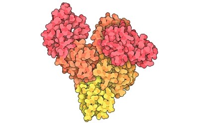 Colorful and intricate representation of a Bovine Serum Albumin (BSA) protein complex. The complex structure of the BSA protein is highlighted, emphasizing its role as a crucial carrier protein, a protein standard, and a cell culture supplement. The image underscores the significance of BSA in various biological processes and its importance in the field of biotechnology. Colorful and intricate representation of a Bovine Serum Albumin (BSA) protein complex. The complex structure of the BSA protein is highlighted, emphasizing its role as a crucial carrier protein, a protein standard, and a cell culture supplement. The image underscores the significance of BSA in various biological processes and its importance in the field of biotechnology.