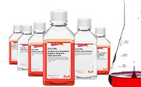 Classical Media & Buffers A series of five laboratory bottles containing red liquid arranged in a line with a graduated cylinder partially filled with the same red liquid to the right, set against a white background.