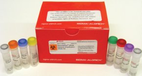 GenomePlex® Whole Genome Amplification (WGA) Kit Complete genome amplification kits