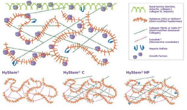 Reconstituted hydrogels for 3D cell culture (HYS020) Reconstituted hydrogels for 3D cell culture (HYS020)