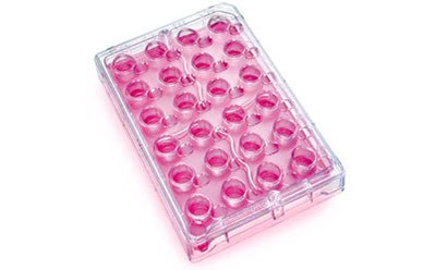 Millicell®-24 Cell Culture Insert Plate Millicell<sup>®</sup>-24 Cell Culture Insert Plate