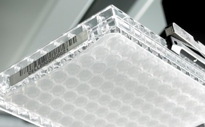 MultiScreen® Plate Close Up A close-up view of a MultiScreen<sup>®</sup> 96-well plate with a barcode label, held by a robotic arm, showcasing the circular wells used for sample analysis.