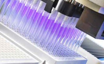 MultiScreen® Plate Getting Filled A laboratory setting where a pipetting device is dispensing a purple liquid into the wells of a MultiScreen® 96-well plate.