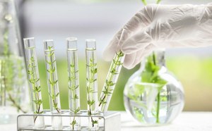 Cell Culture Supplements & Reagents Cell Culture Supplements & Reagents