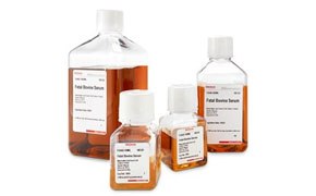 Animal sera for cell culture Image shows an array of Fetal Bovine Serum bottles, showcasing various sizes and labeled for biological research applications, commonly utilized in cell culture to nourish and support the growth of eukaryotic cells.