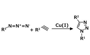 클릭 화학 반응 구조 본 클릭 화학 구조의 예시는 1,4-이치환-1,2,3-트리아졸을 형성하기 위한 아자이드에 대한 알킨의 구리(I)-촉매 아자이드-알카인 고리화첨가(CuAAC)를 보여줍니다.