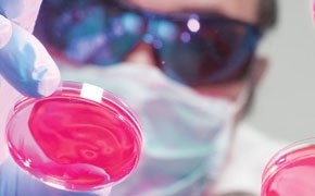 Stable Isotopes Scientist using stable isotope-labeled biomolecules in a lab.