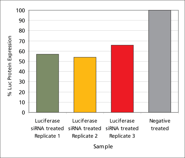 Luciferase activity Bar chart showing the percent luciferase protein expression in tumors from three Luciferase-specific siRNA treated mice and one non-targeting siRNA mouse. Luciferase activity was reduced by two-fold in the tumors