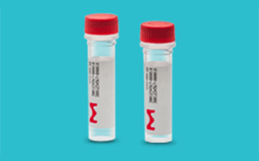 The image depicts two tubes feature clear bodies, white contents, and red-capped openings. Each tube bears an unreadable barcode label with a red squiggly line design at the bottom. The image depicts two tubes feature clear bodies, white contents, and red-capped openings. Each tube bears an unreadable barcode label with a red squiggly line design at the bottom.