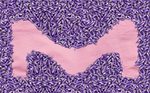 향미 및 향기 신제품 신제품 공급