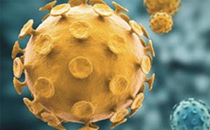 Primary Cell Culture A close-up view of virus particles, with a dominant golden particle in the center, characterized by its spherical shape and numerous spike proteins. The background features additional particles in golden-yellow and blue hues, all set against a blurred backdrop that accentuates the central figure and adds depth to the composition. The image captures the intricate details and diversity of virus particles, highlighting their unique structures.