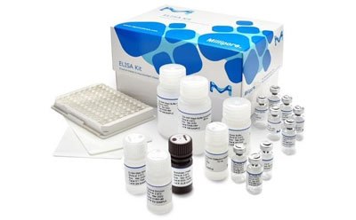 Enzyme-Linked Immunosorbent Assay (ELISA) Kits ELISA Kits and Reagents