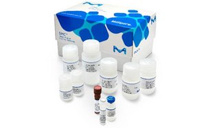 SMC® Immunoassays SMC® Immunoassays