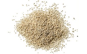 Granulated Raw Materials for Microbial Culture Media A close-up image of a mound of granular material, resembling yeast or a similar microbial culture media raw material, set against a white background. The pile is textured and consists of small, light-colored particles.