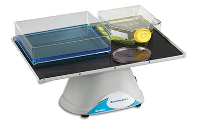 A Platform Rocker with a blue and clear container, a yellow cap bottle, and a petri dish on its surface, all placed on a white table with a blue label reading ‘Benchmark’. A Platform Rocker with a blue and clear container, a yellow cap bottle, and a petri dish on its surface, all placed on a white table with a blue label reading ‘Benchmark’.