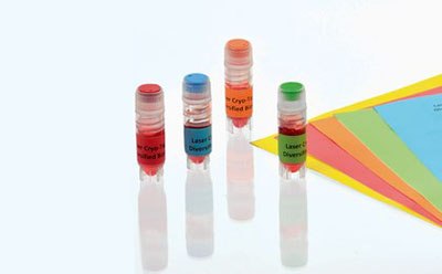 CRYO-BABIES® Four small vials with colored caps and labels against a white background. Each vial has a different colored cap: red, orange, blue, and green.