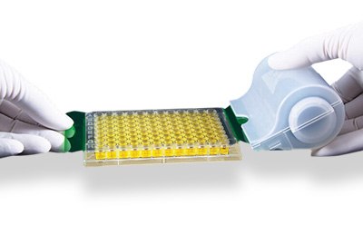 Photograph showing two gloved hands using an adhesive seal on a roller to seal a microplate. Photograph showing two gloved hands using an adhesive seal on a roller to seal a microplate.