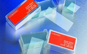 Microscope Slides & Chambers Microscope slides and chambers