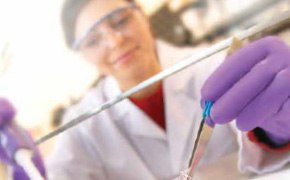 Millicell<sup>®</sup> 세포 배양 인저트 & 플레이트 Millicell® 세포 배양 삽입물 및 플레이트