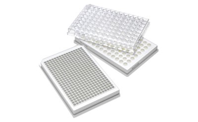 Multiscreen filter plates Multiscreen filter plates