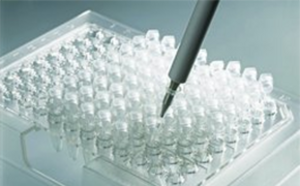 PCR Supplies & Equipment Pipette filling tubes in well plate