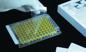 SealPlate® film A person wearing white gloves handling a SealPlate® film, with a white box and paper nearby,