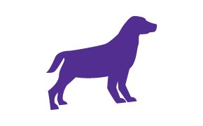 Canine 개 이미지