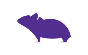 Hamster 햄스터 이미지