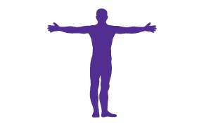 Human 인간 이미지