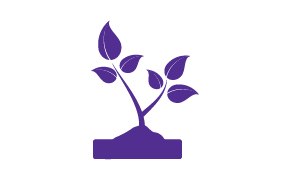 Plant 식물 이미지