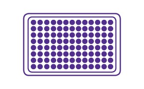 플레이트 플레이트 이미지