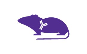 Rat Hybridoma 래트 하이브리도마 이미지