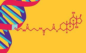 DIG Labeling Methods Graphic of digoxigenin (DIG) labeling DNA probe.