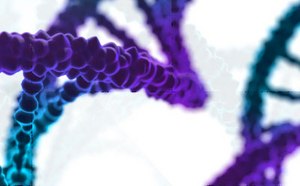 DNA purification kits High yield, high purity DNA extraction and purification kits